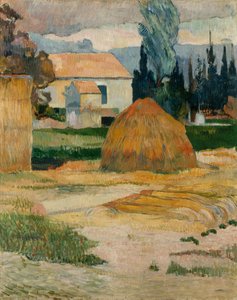 Landschaft bei Arles